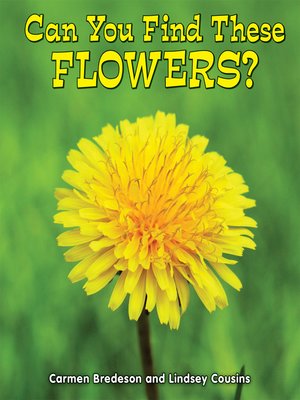 cover image of Can You Find These Flowers?